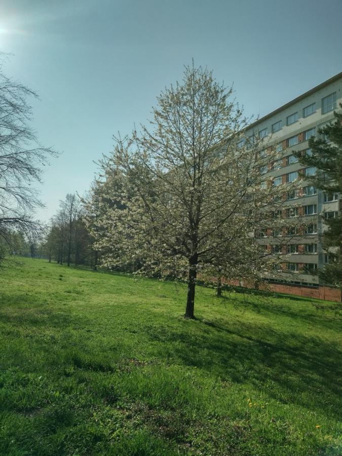 Flat Lesná Brno Exterior foto